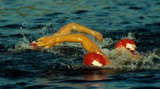 18新利最新登入铁人三项运动员保持动力怎么样?”width=