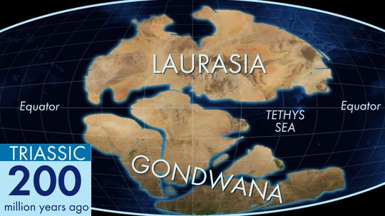 How the Ancient Land Blob Gondwana Became Today's Continents