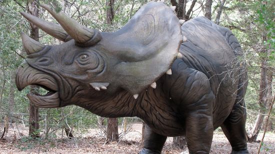 Triceratops: Facts About the Life and Times of a Three-horned Dinosaur