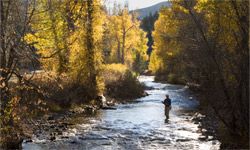 Trout Fishing Essentials