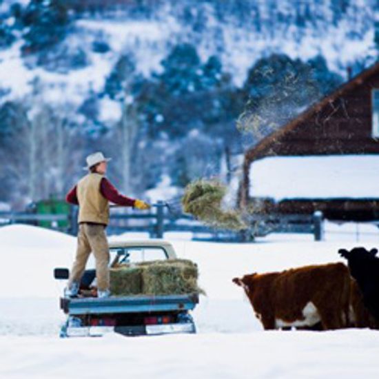 Top 5 Truck Killers on a Typical Ranch