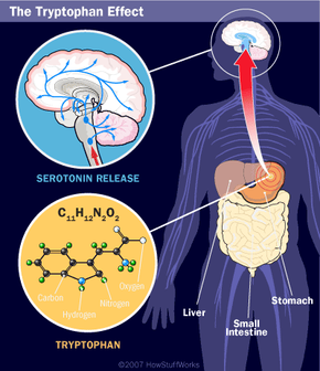 The tryptophan reaction