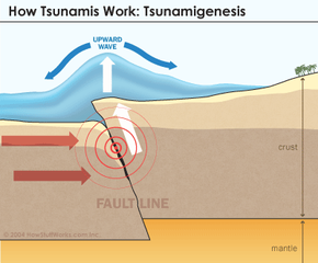 how tsunamis form animation