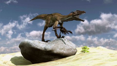Utahraptor: The Salty Saga of a Killer Dinosaur - Vimarsana News