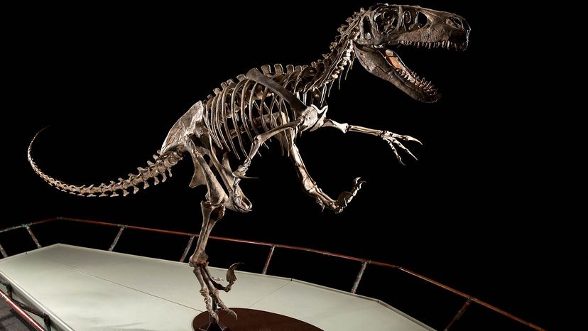 How Deinonychus Upended the Way We Look at Dinosaurs