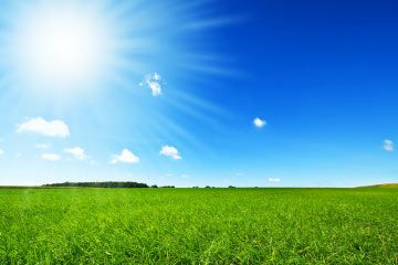 Sunlight, blue sky, green grass.