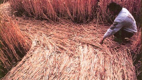 内布拉斯加州1884年崩盘”width=