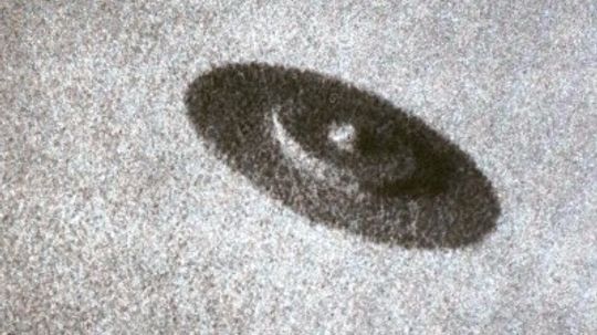 空间的动物”width=