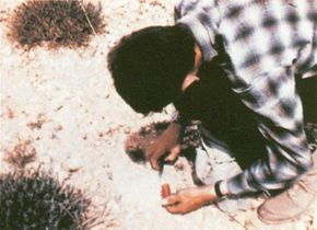 photo of man examining a hole in valensole, france