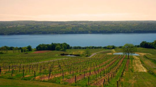 Ultimate Guide to New York Wine Country