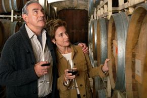 On an Ohio winery tour, you'll get a behind-the-scenes look at how wines are produced in the area.