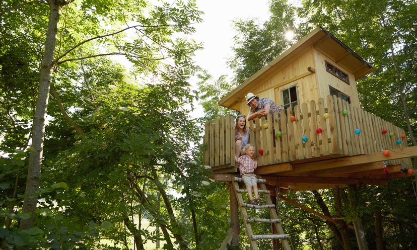 The Ultimate Tree House Quiz