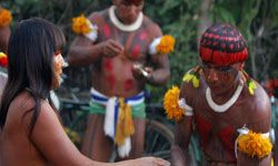 Brazilian Kuikoro Indians share food prior to their Kuarup ceremony in August 2005. Tribes like this one are threatened by encroaching loggers, ranchers and oil prospectors.