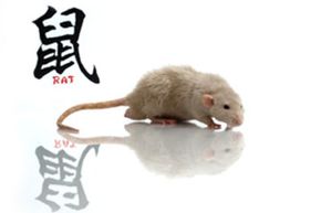 Eek -- it's a rat! Don't worry: In the Chinese zodiac, the rat is imaginative, charismatic, shrewd and witty.