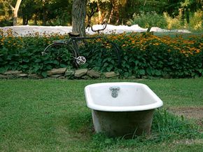 This garden is adorned with a bicycle and a bathtub -- not something you see every day.