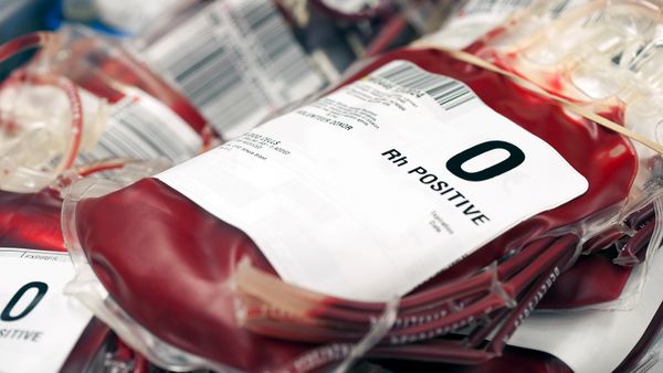 This Is the Rarest Blood Type in the World