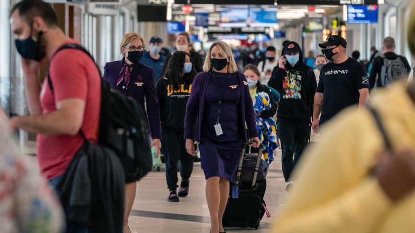 airline flight attendants