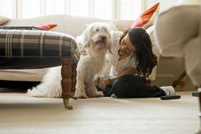 woman grooming her dog