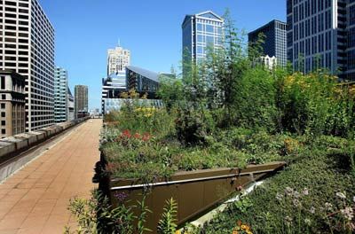 green roof in Chicago offsets urban heat island effect