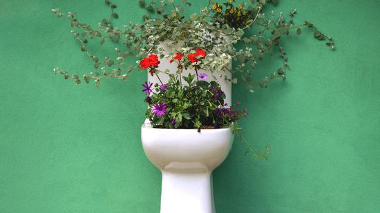 用你的小便把豌豆生长”class=