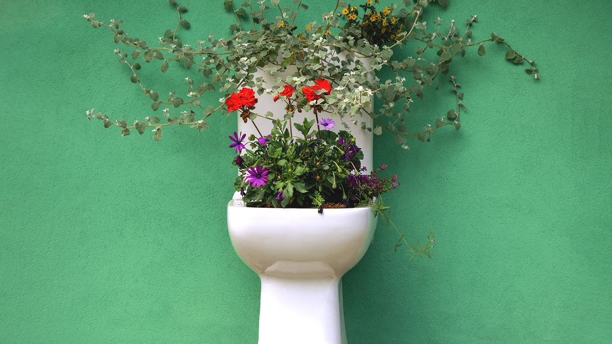 Use Your Pee to Grow Your Peas