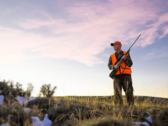 18新利最新登入美国运动员的联盟是如何运作的吗”class=