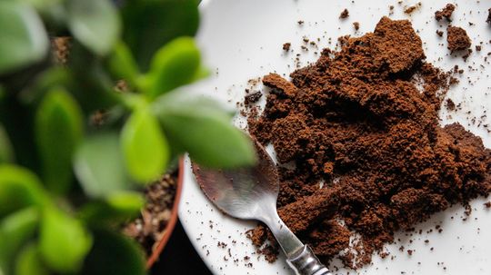 8 Ingenious Ways to Repurpose Used Coffee Grounds