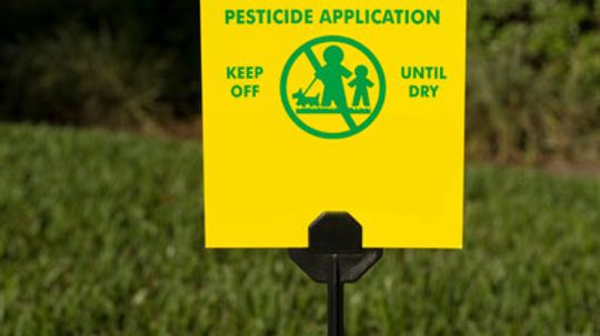 How Using Pesticides in Landscaping Works