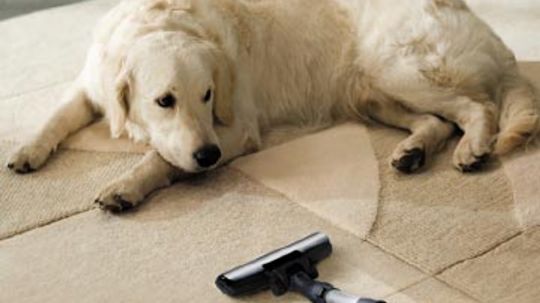 What type of vacuum cleaner works best for pet hair?