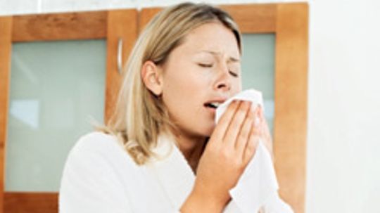 What are some dust allergy symptoms?