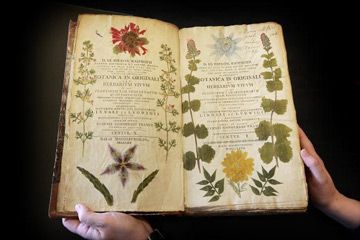 18th century book on botany.