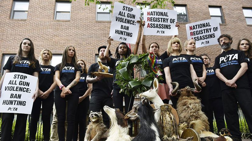 PETA supporters stand with taxidermy animals during a demonstration calling for the end to gun violence outside of the National Rifle Association on June 17, 2016 in Washington, D.C. MANDEL NGAN/AFP/Getty Images