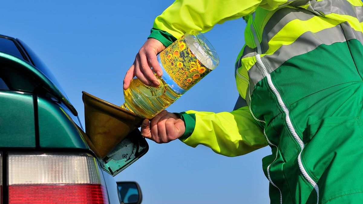 Can You Really Use Vegetable Oil To Fuel Your Car HowStuffWorks