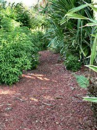 Mulches are a multipurpose any garden. See more pictures of vegetable gardens.