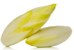 ©iStockphoto.com/arnowssr菊苣可以有卷曲的叶子或广阔平坦的。”width=