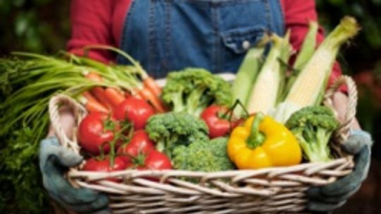 农业部蔬菜指南”width=