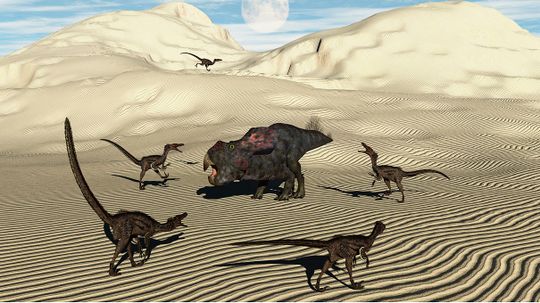 Velociraptors Likely Hunted Solo, Despite Pop Culture Depiction