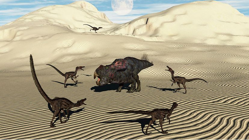 velociraptors hunting in pack