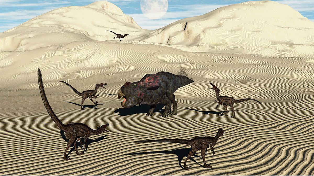 los velociraptors