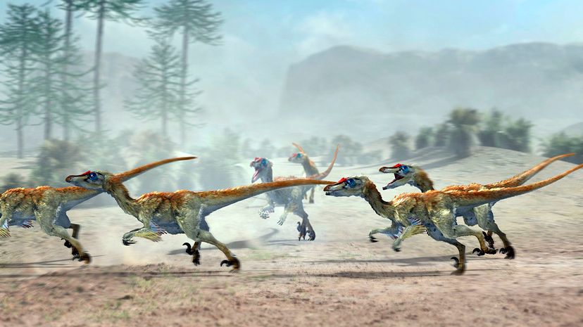 velociraptors hunting in pack