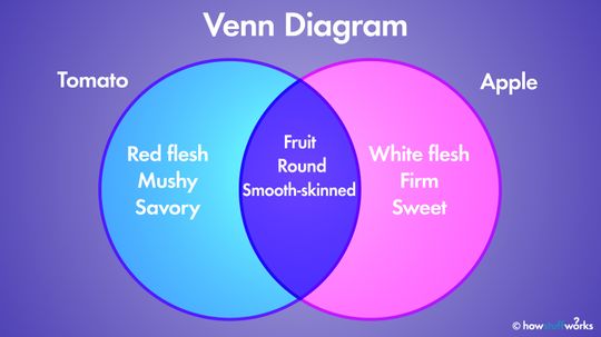 The Venn Diagram: How Overlapping Figures Can Illustrate Relationships“border=