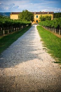 Farmhouse in the vineyards, Veneto, Italy.