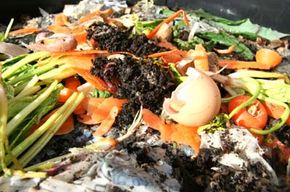 Worm Compost Food and Established Bins - Worm Food | HowStuffWorks