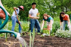 Don't want to garden alone? Try community gardening.