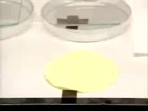 Waterproofing Everything