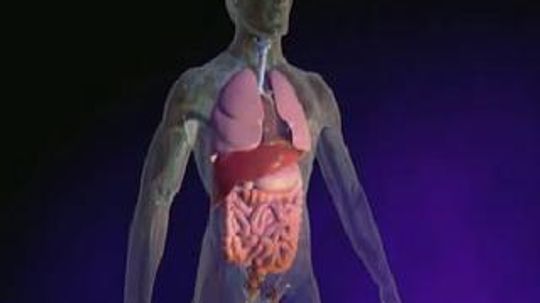 囊性纤维化的统计数据是什么?＂width=