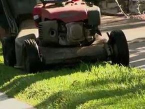 Mow Your Lawn and Save the Earth