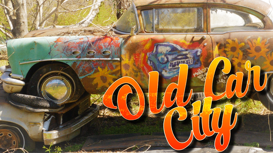 Old Car City: The Junkyard Turned Photographer's Paradise  