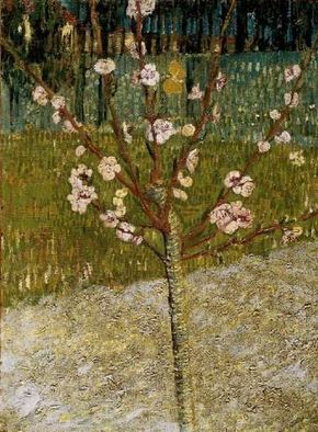 Vincent van Gogh's Almond Tree in Blossom is anoil on canvas (19x14 inches) that is housed inthe Van Gogh Museum in Amsterdam.
