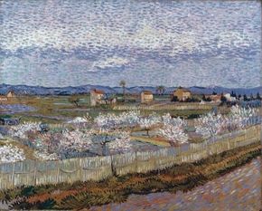 Vincent van Gogh's Le Crau with Peach Trees inBlossom (oil on canvas, 25-3/4x32 inches) hangs inLondon's Courtauld Institute Gallery.